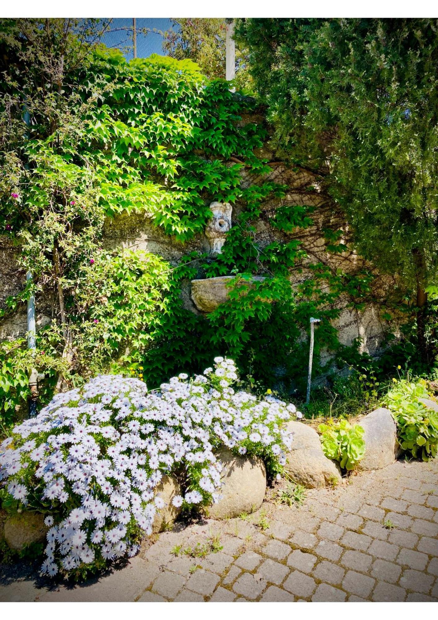 Villa Scilla E Cariddi Messina Ngoại thất bức ảnh