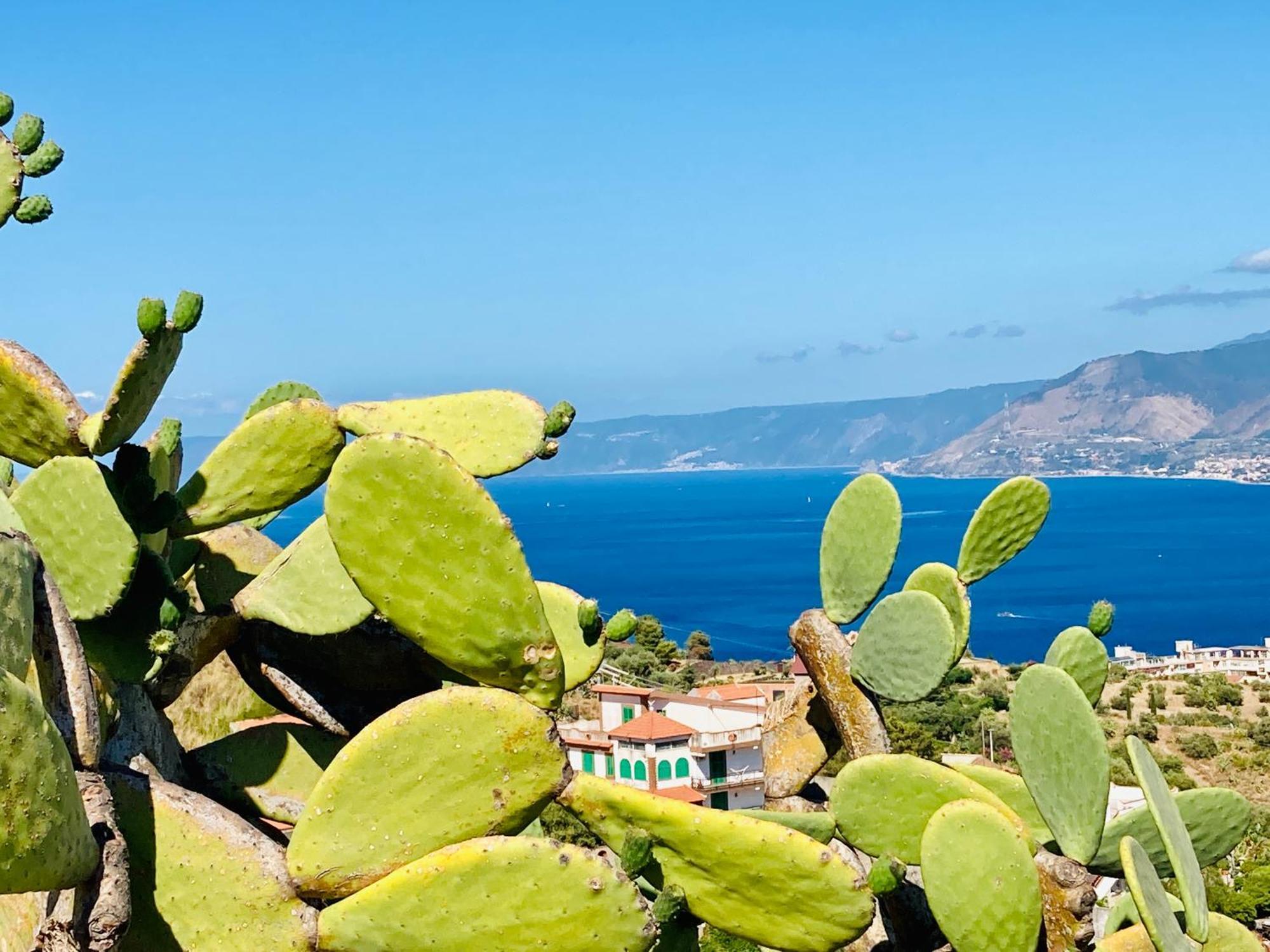 Villa Scilla E Cariddi Messina Ngoại thất bức ảnh