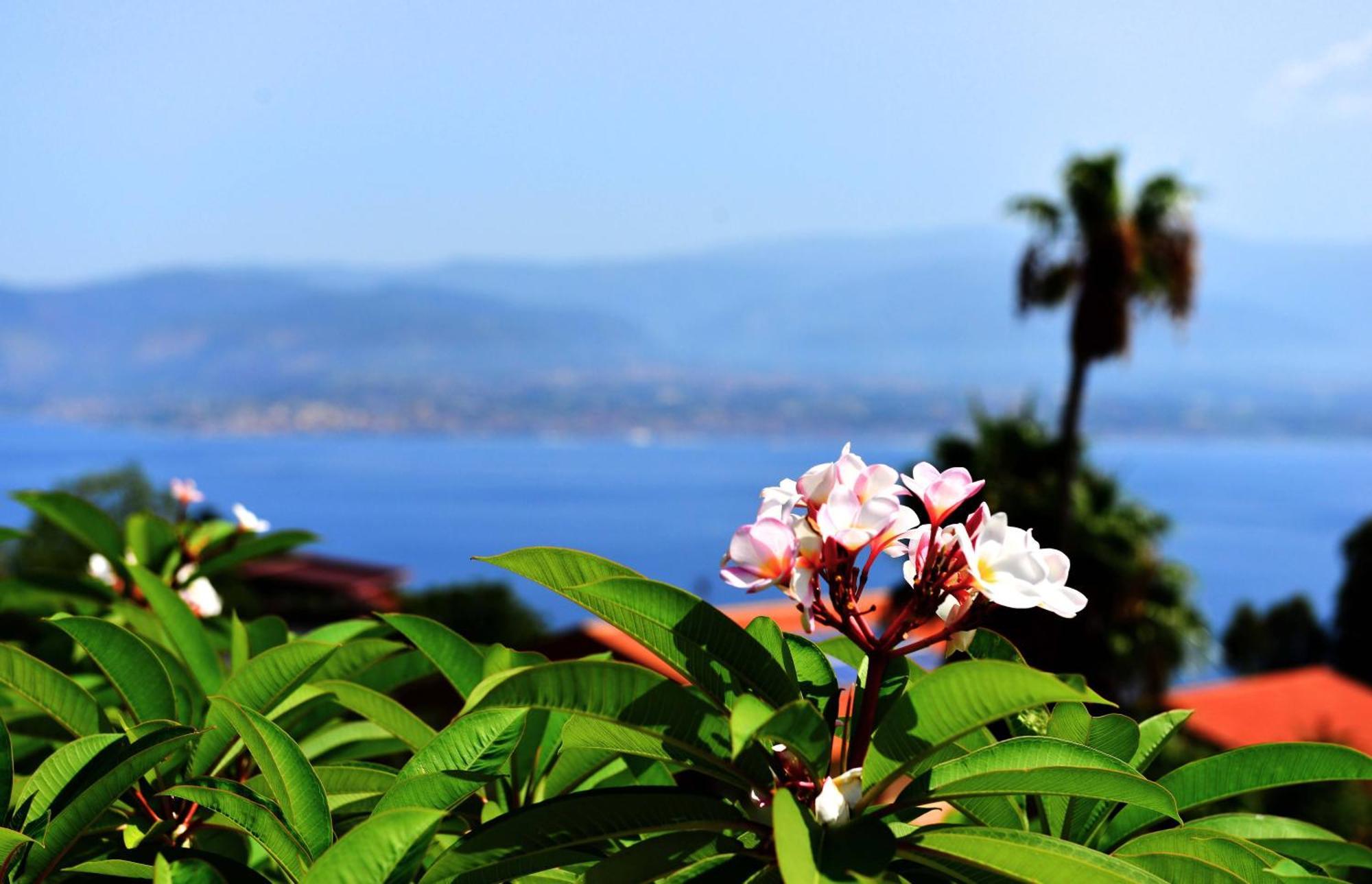 Villa Scilla E Cariddi Messina Ngoại thất bức ảnh