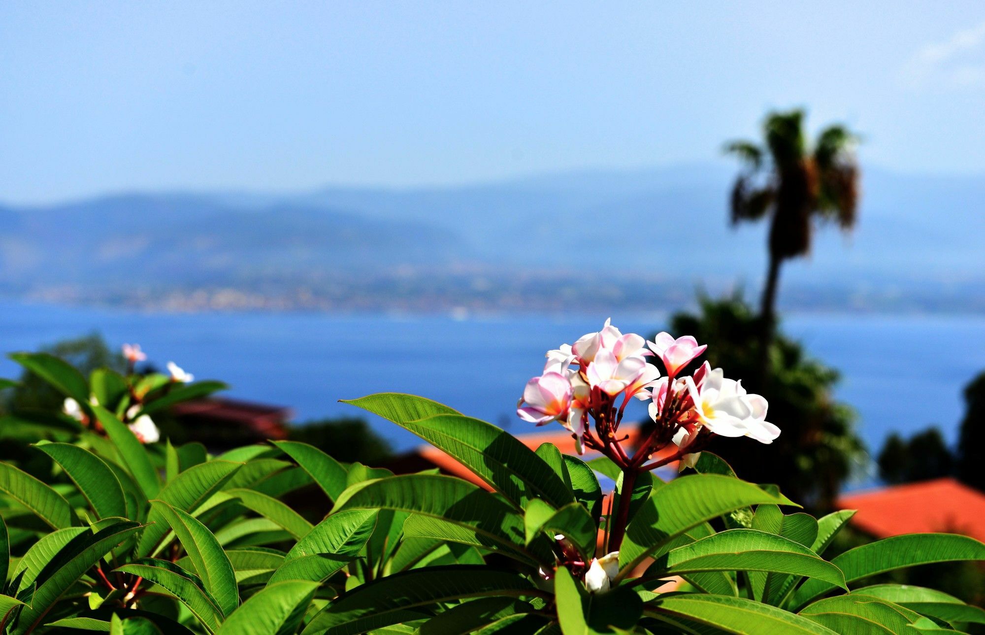 Villa Scilla E Cariddi Messina Ngoại thất bức ảnh